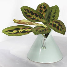 Load image into Gallery viewer, Delicate dangly stud earrings with luminous bezel-set Russian Emeralds hanging on foxtail chain from a hand-textured silver ball.