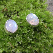 Load image into Gallery viewer, Ari Moonstone Earrings