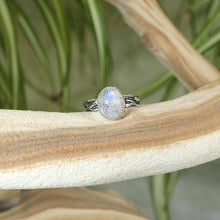 Load image into Gallery viewer, A truly one-of-a-kind piece, the Stevie features a wide textured band wrapped in a hand sculpted leafy vine crowned by a flashy crystalline Rainbow Moonstone. The black patina has been buffed back to highlight the details of this unique jewel.